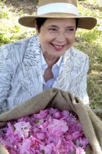 A Season with Isabella Rossellini streaming