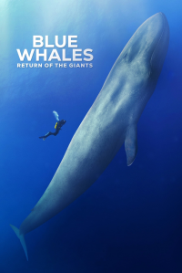 Blue Whales: Return of the Giants streaming