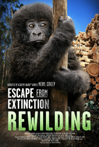 Escape from Extinction: Rewilding streaming