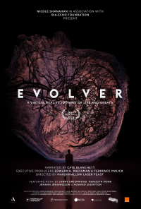 Evolver streaming