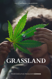 Grassland