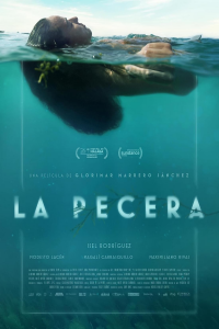 La pecera streaming