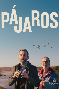 Pájaros streaming