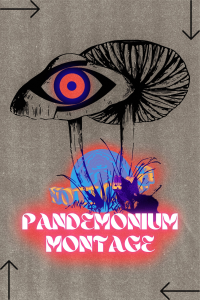 PANDEMONIUM MONTAGE