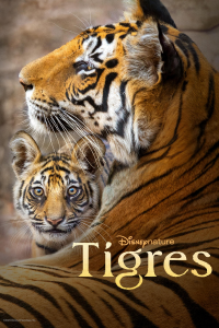 Tigres