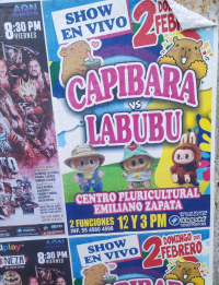 Capybara vs. Labubu streaming