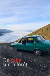 Du sang sur la forêt streaming