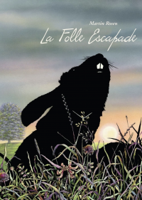 La folle escapade streaming