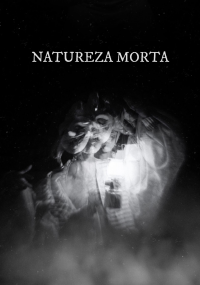 Natureza Morta streaming