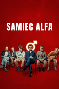 Samiec Alfa streaming