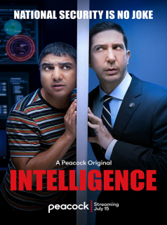 voir serie Intelligence en streaming