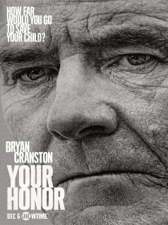 voir Your Honor Saison 2 en streaming 