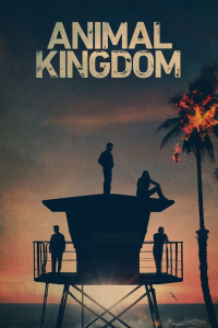 voir Animal Kingdom Saison 6 en streaming 