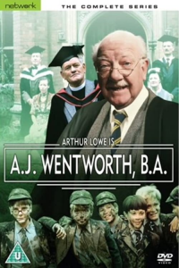 voir serie A J Wentworth, BA en streaming