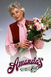 voir Amanda's Saison 1 en streaming 