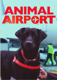 voir serie Animal Airport en streaming