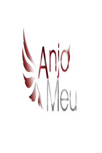 voir serie Anjo Meu en streaming