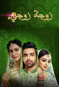 voir serie Bahu Begum en streaming