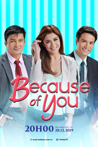 voir serie Because of You en streaming