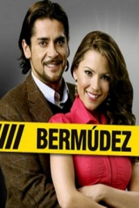 voir serie Bermúdez en streaming