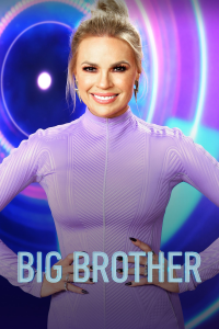 voir serie Big Brother en streaming