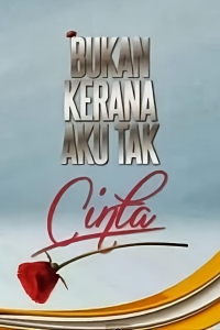 Bukan Kerana Aku Tak Cinta