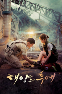 voir Descendants of the Sun saison 1 épisode 12