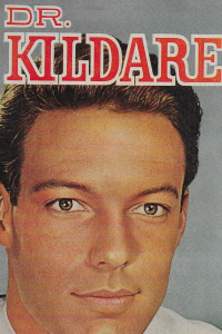 voir Dr. Kildare Saison 5 en streaming 