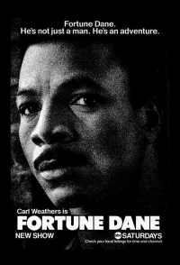 voir serie Fortune Dane en streaming