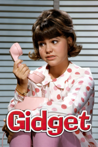 voir serie Gidget en streaming