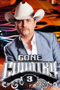 voir serie Gone Country en streaming