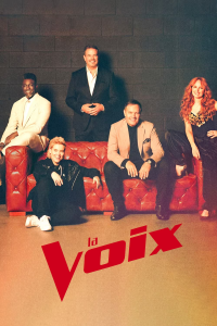 voir La Voix Saison 6 en streaming 