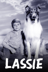 voir serie Lassie en streaming