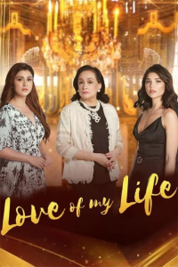 voir Love of My Life Saison 1 en streaming 