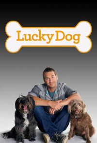 voir serie Lucky Dog en streaming