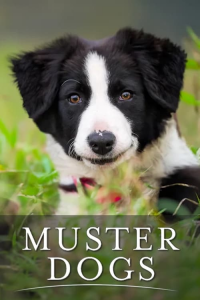 voir serie Muster Dogs en streaming