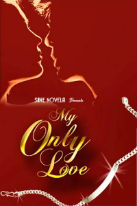 voir serie My Only Love en streaming