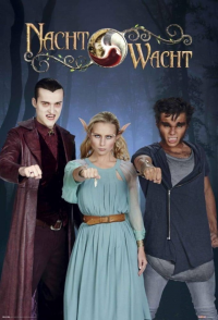 voir serie Nachtwacht en streaming