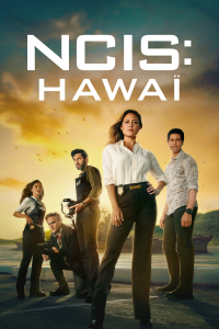 voir NCIS : Hawaï Saison 3 en streaming 