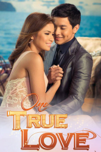 voir One True Love Saison 1 en streaming 