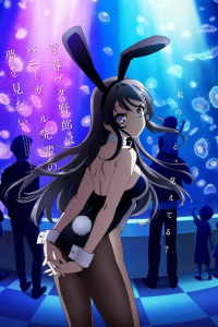 Rascal Does Not Dream of Bunny Girl Senpai Saison 2 en streaming français