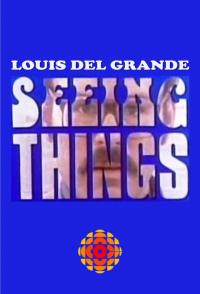 voir serie Seeing Things en streaming