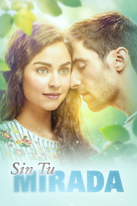 Sin tu mirada Saison 1 en streaming français