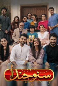 voir serie Suno Chanda en streaming