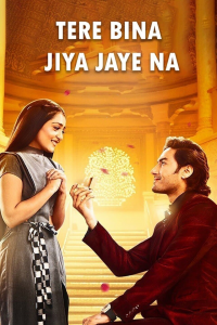 voir serie Tere Bina Jiya Jaye Naa en streaming