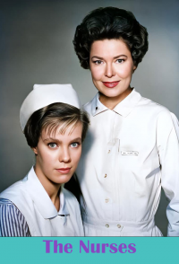 voir serie The Nurses en streaming