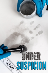 Under Suspicion Saison 1 en streaming français