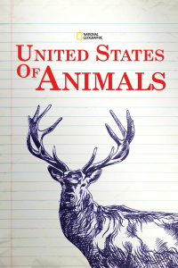 voir serie United States of Animals en streaming