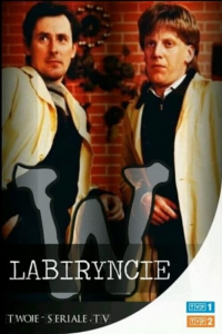 voir serie W labiryncie en streaming