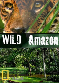 voir serie Wild Amazon en streaming